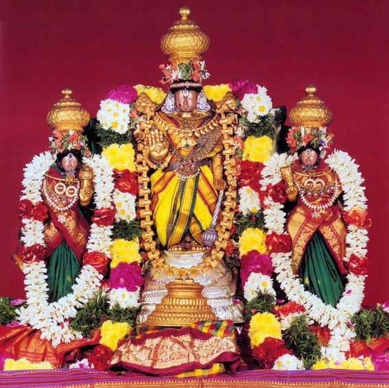 AC lodge in thirupathur